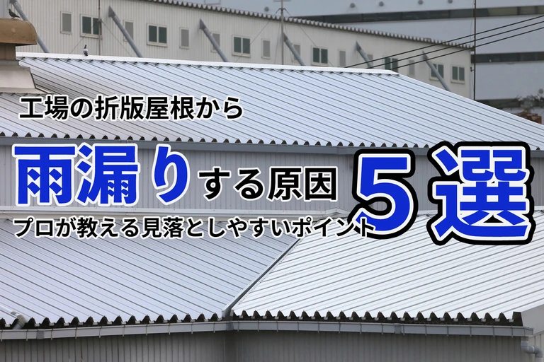 サムネ画像