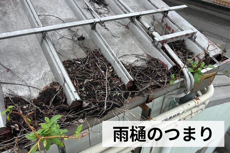 1号棟　雨樋