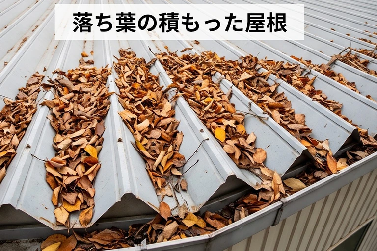 落ち葉